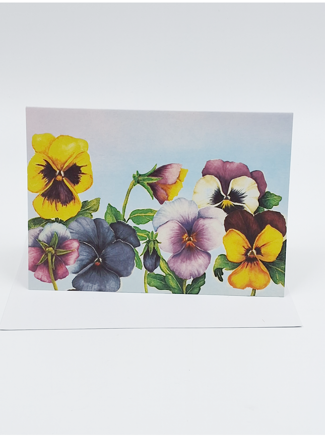 Wenskaart violen Muriël