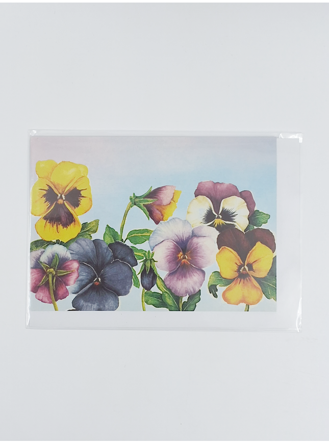 Wenskaart violen Muriël