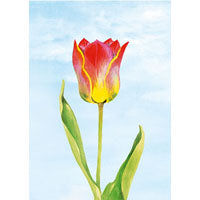 Wenskaart tulp