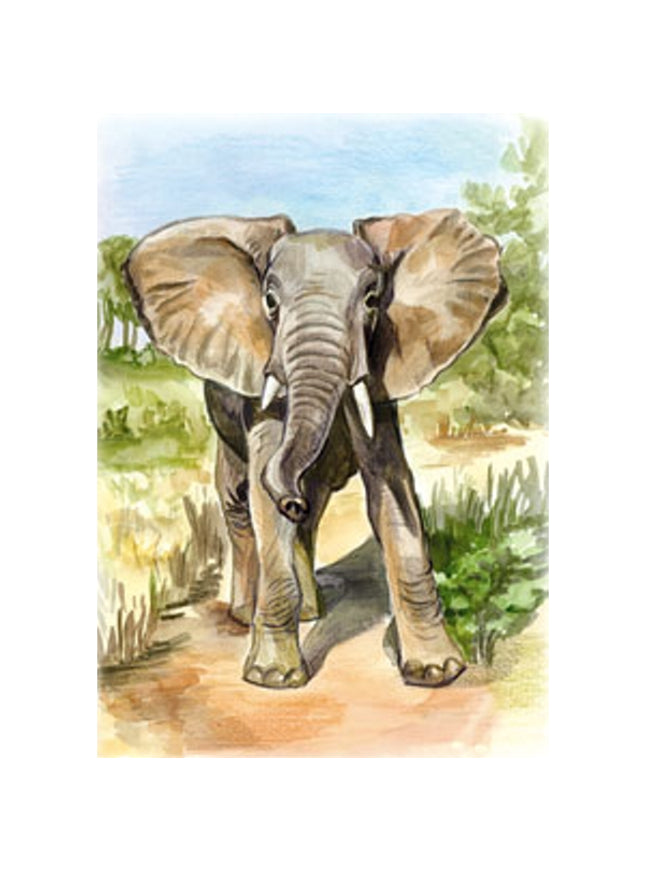 Elephant greeting card