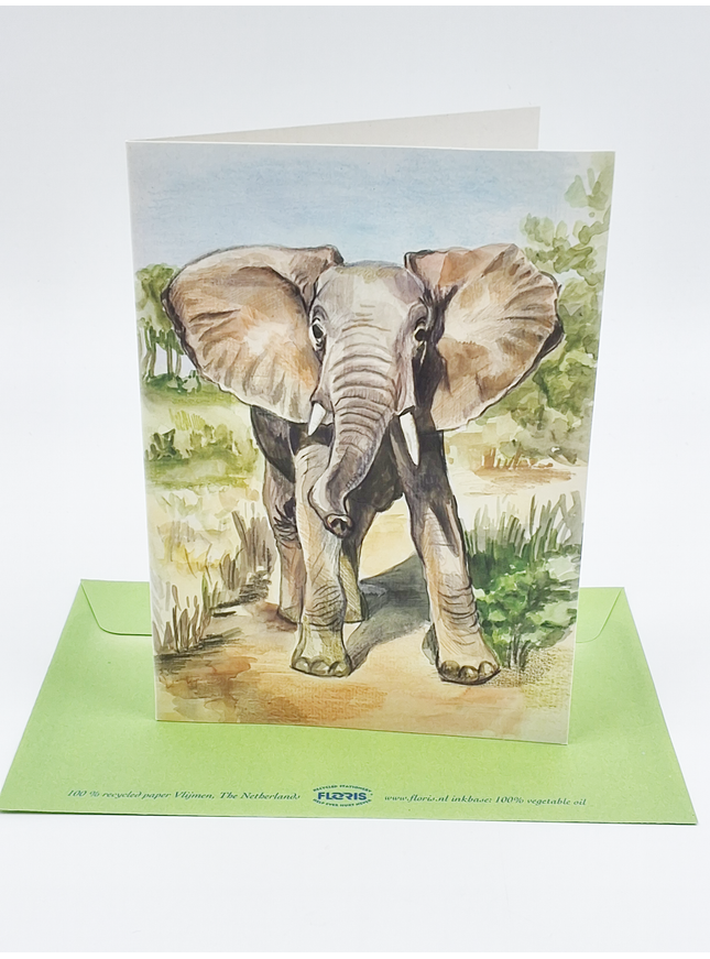 Elephant greeting card