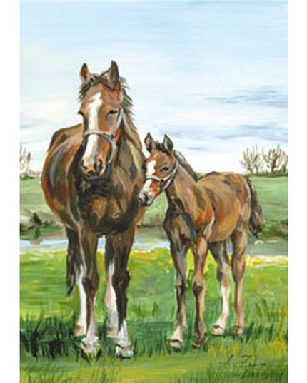 Wenskaart paard met veulen