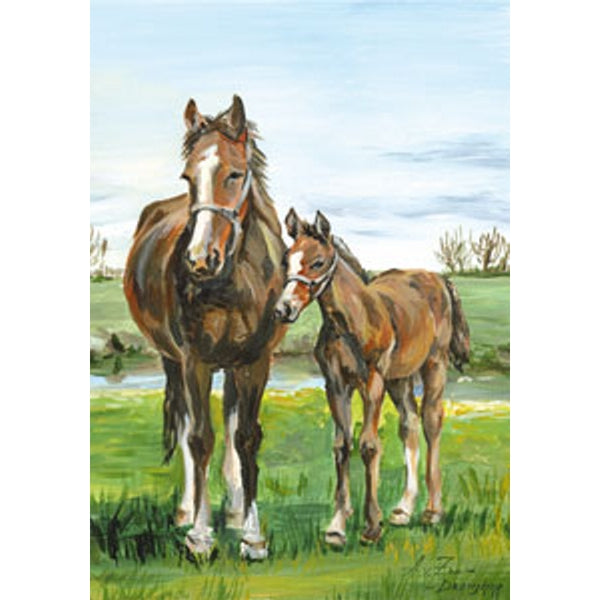 Wenskaart paard met veulen