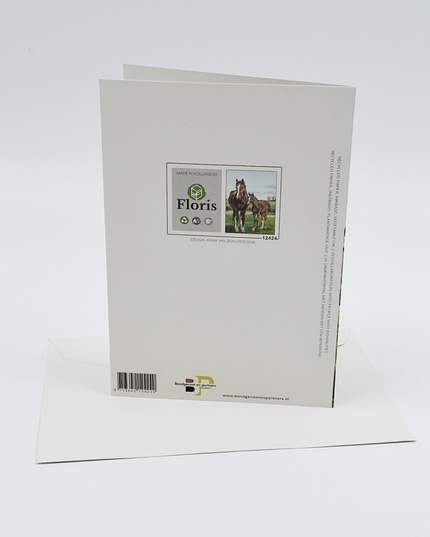 Wenskaart paard met veulen