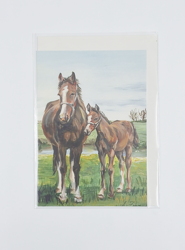 Wenskaart paard met veulen