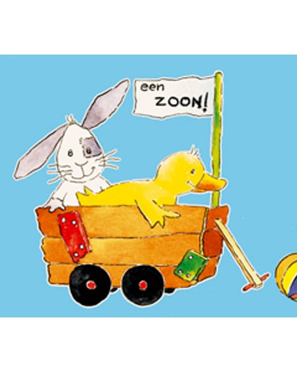 Wenskaart bolderkar zoon geboorte