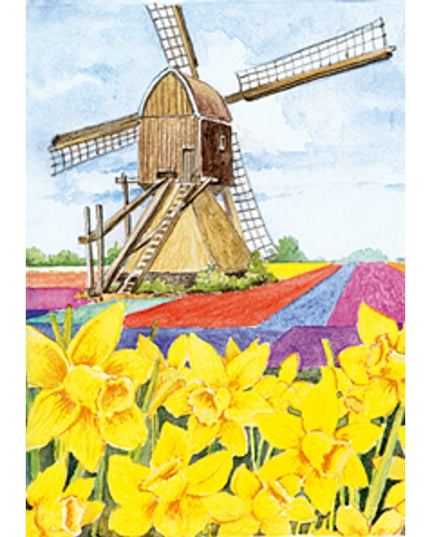 Wenskaart narcissen molen