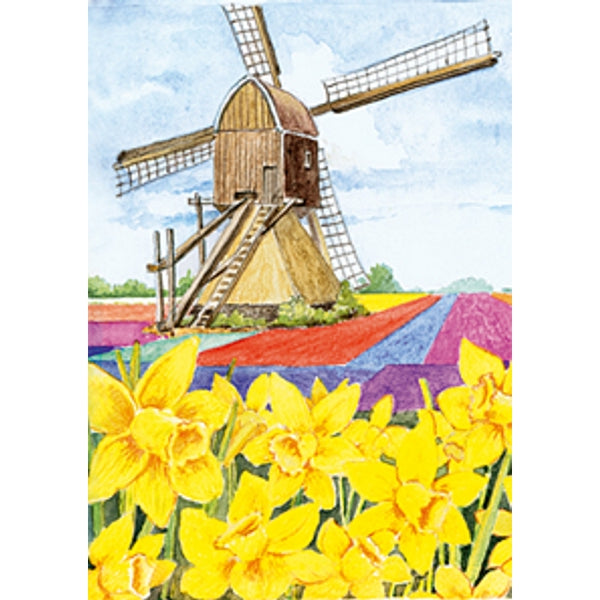 Wenskaart narcissen molen