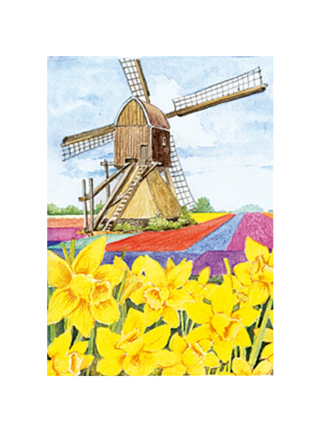 Greeting card daffodils mill
