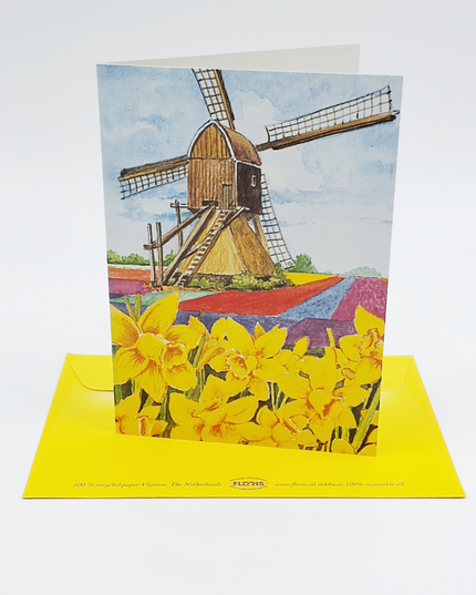 Wenskaart narcissen molen