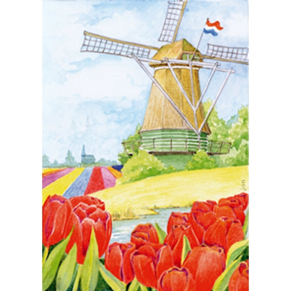 Wenskaart tulpen molen