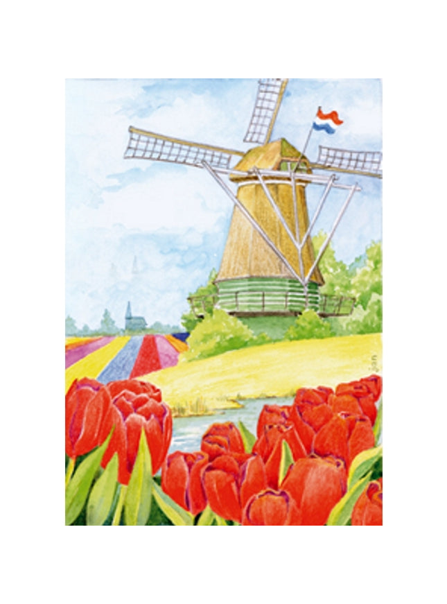 Wenskaart tulpen molen