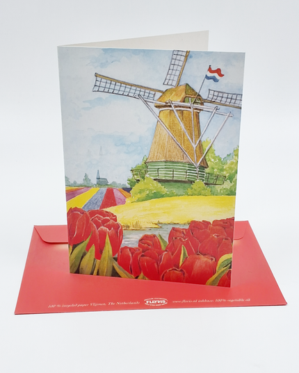 Wenskaart tulpen molen