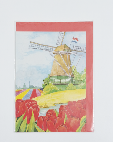 Wenskaart tulpen molen