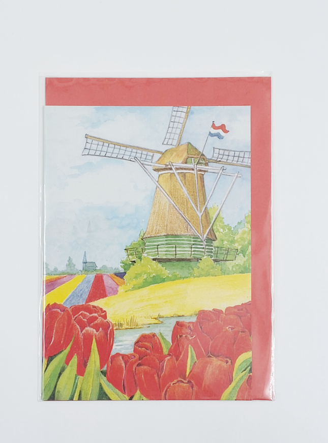 Wenskaart tulpen molen