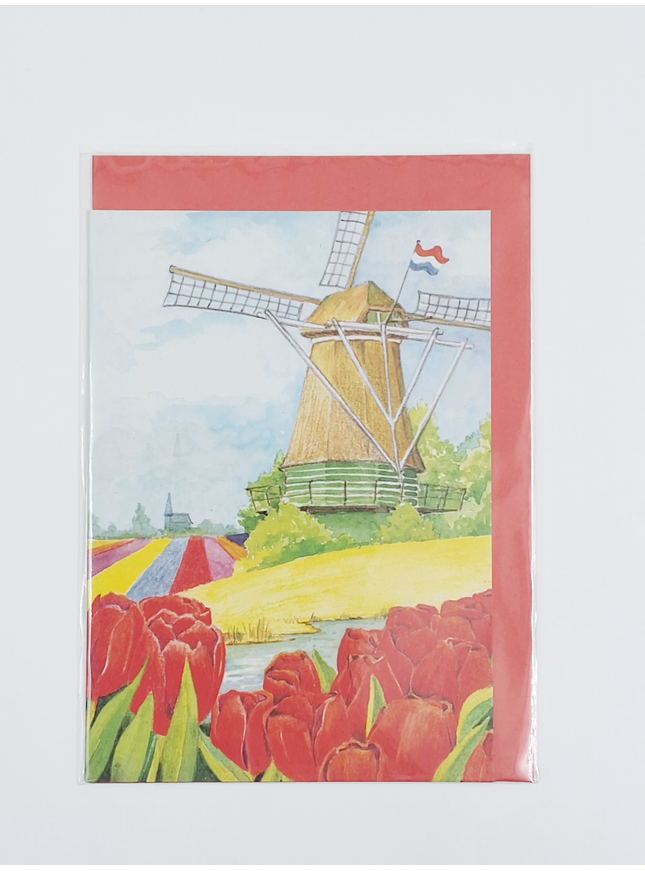 Wenskaart tulpen molen