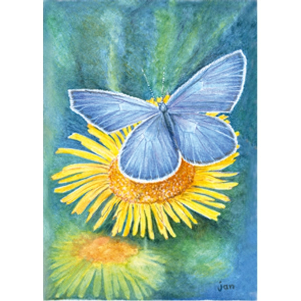 wenskaart gele bloem blauwtje