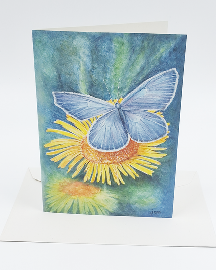 wenskaart gele bloem blauwtje