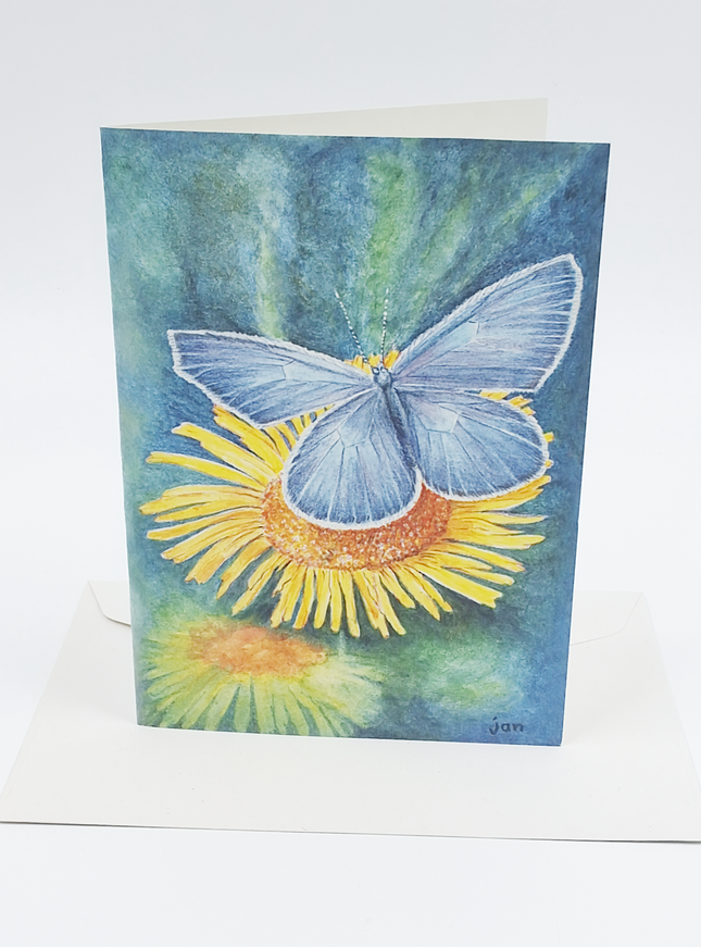 wenskaart gele bloem blauwtje