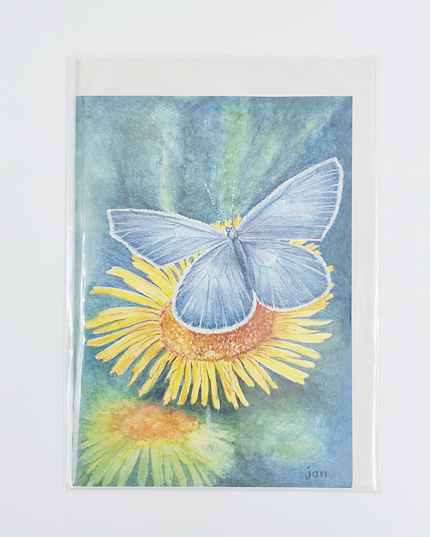 wenskaart gele bloem blauwtje