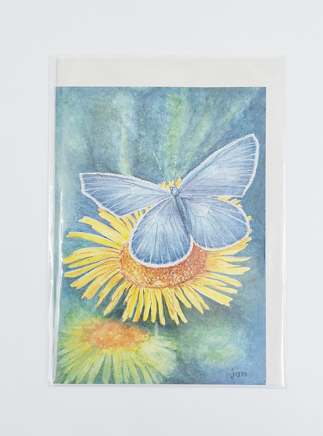 wenskaart gele bloem blauwtje