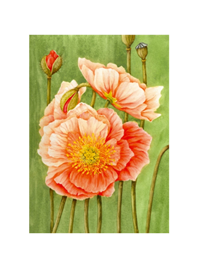 Poppy greeting card Muriel