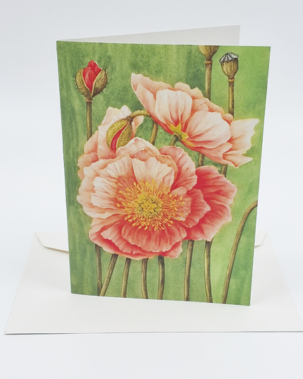 Wenskaart papaver Muriël