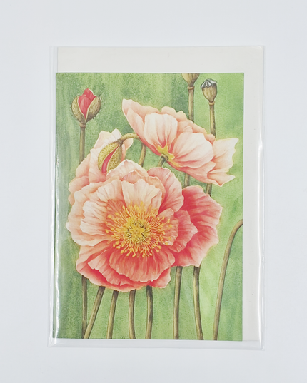 Wenskaart papaver Muriël