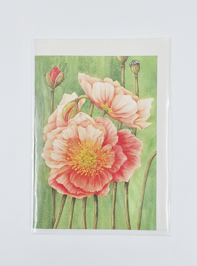 Wenskaart papaver Muriël