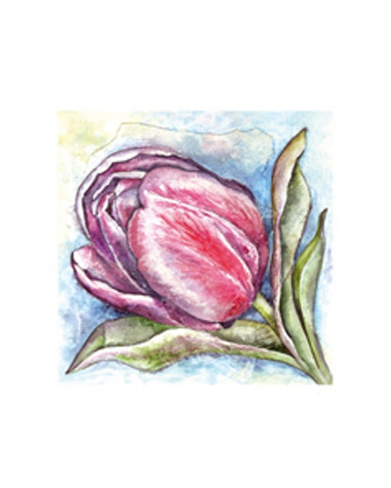 Wenskaart een tulp Anna