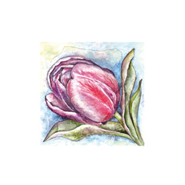 Wenskaart een tulp Anna