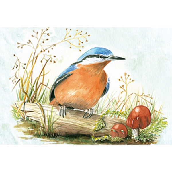 Wenskaart boomklever