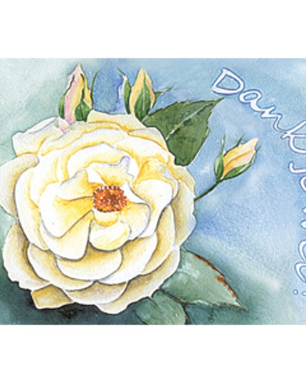 Wenskaart witte roos