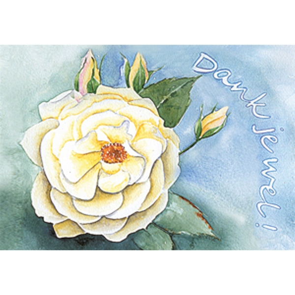 Wenskaart witte roos