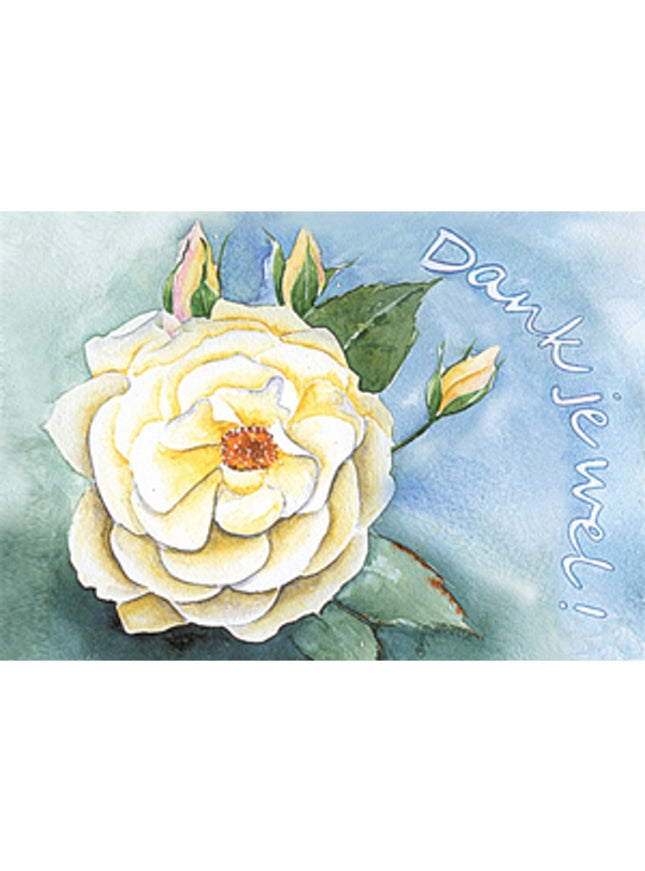 Wenskaart witte roos