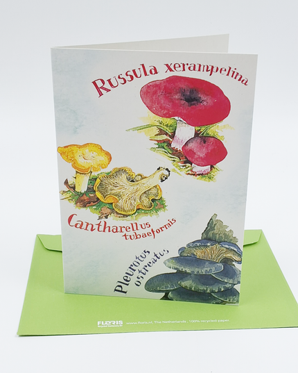 Wenskaart cantharellen etc.
