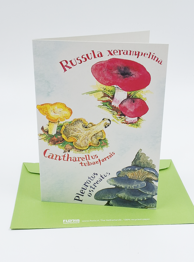 Wenskaart cantharellen etc.