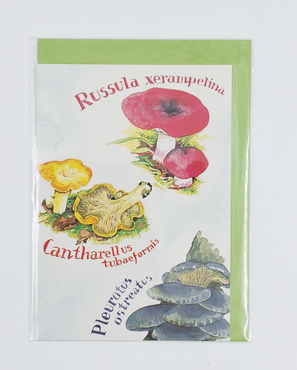 Wenskaart cantharellen etc.