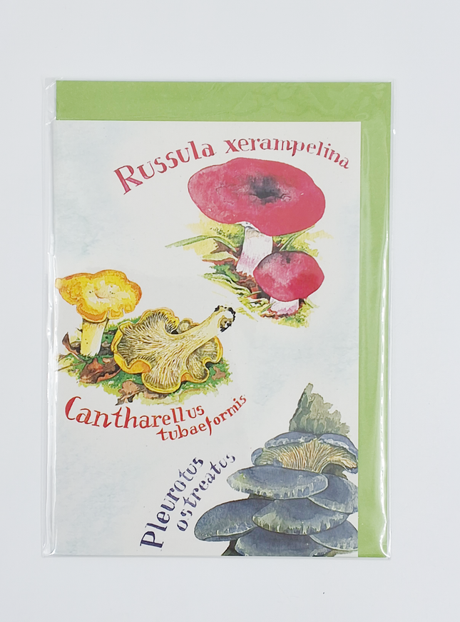 Wenskaart cantharellen etc.