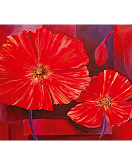 Wenskaart twee klaprozen Jan