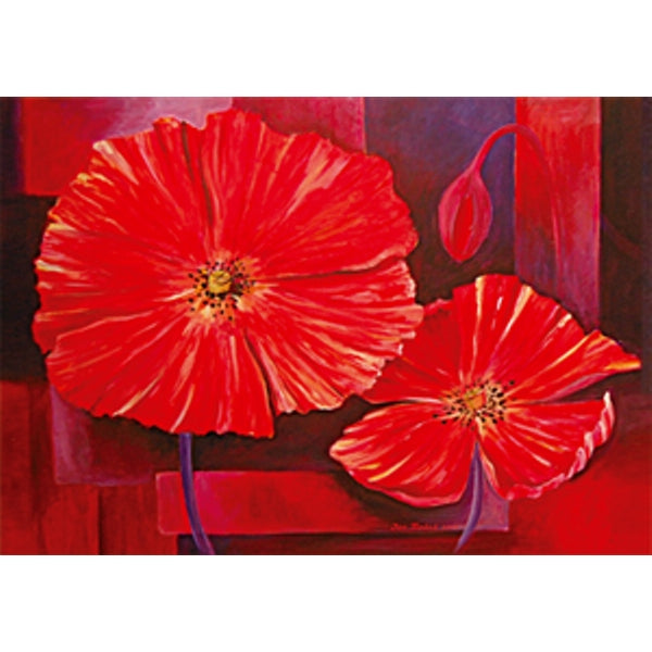 Wenskaart twee klaprozen Jan