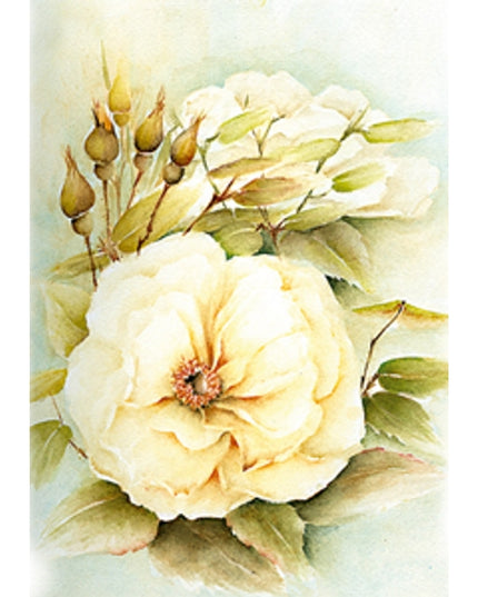 Wenskaart witte roos met knoppen