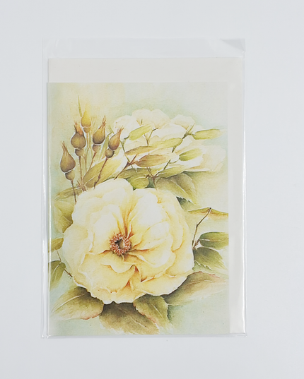 Wenskaart witte roos met knoppen