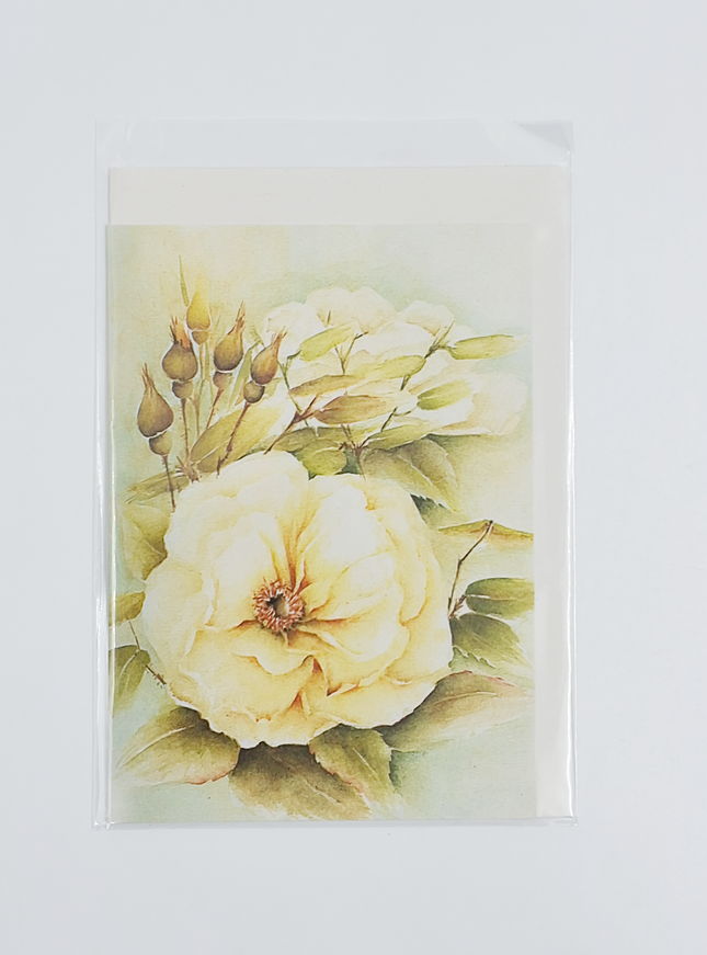 Wenskaart witte roos met knoppen