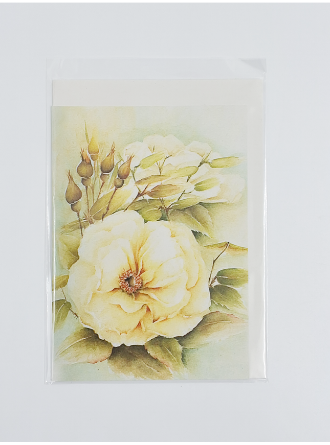 Wenskaart witte roos met knoppen