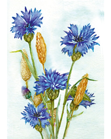 Wenskaart korenbloem Muriël