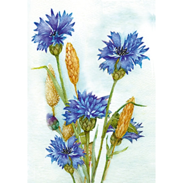 Wenskaart korenbloem Muriël
