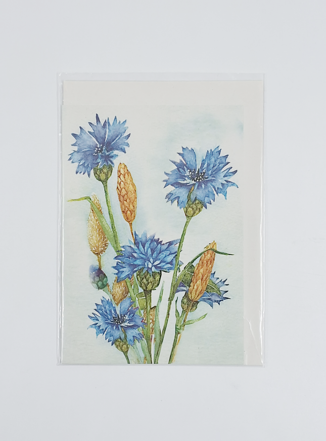 Wenskaart korenbloem Muriël