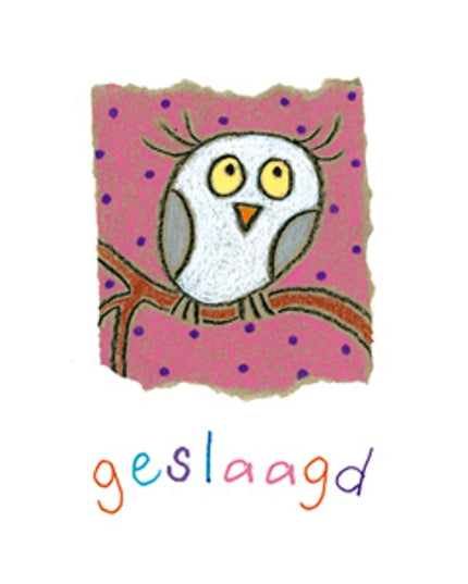 Wenskaart uil, geslaagd