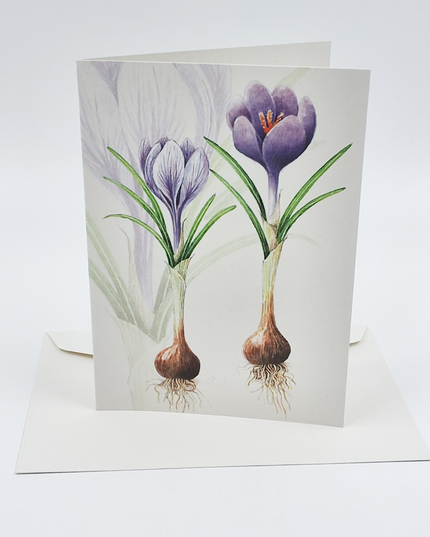 Wenskaart crocussen met bol